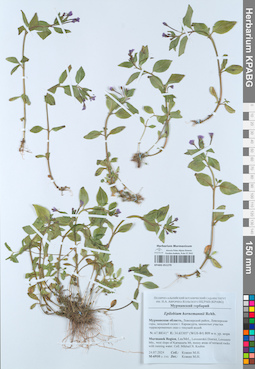 KPABG051279