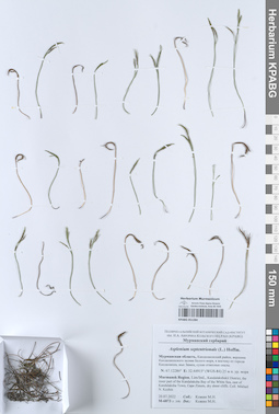 KPABG051284
