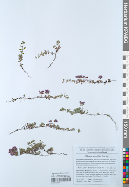 KPABG051287