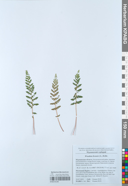KPABG051290
