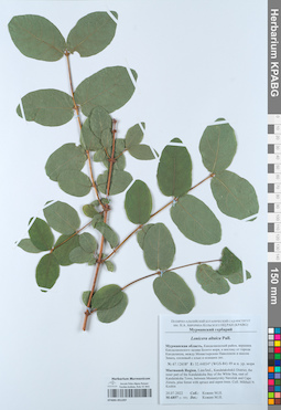 KPABG051297