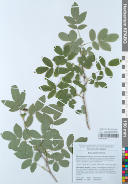 KPABG051307