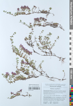 KPABG051308