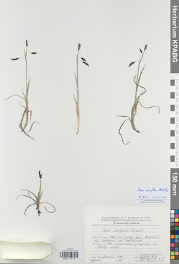 KPABG002167
