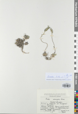 KPABG025442