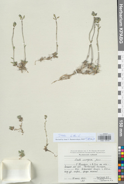 KPABG025443