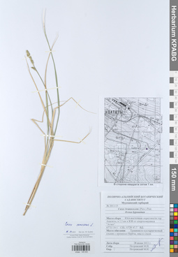 KPABG049555