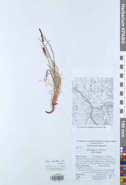 KPABG049679