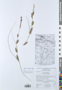 KPABG049722