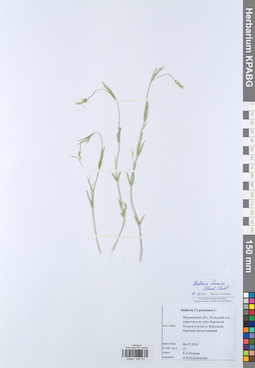 KPABG049723