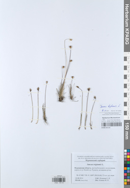 KPABG049724