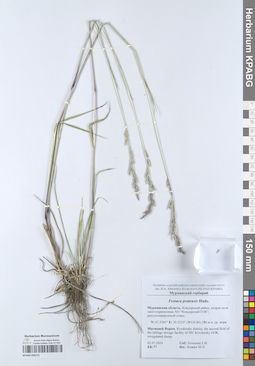 KPABG050171