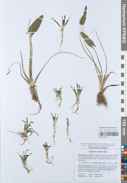 KPABG050172