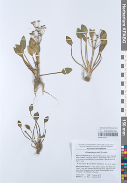 KPABG050173