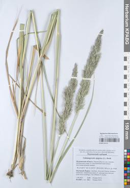 KPABG050176