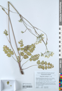 KPABG050180