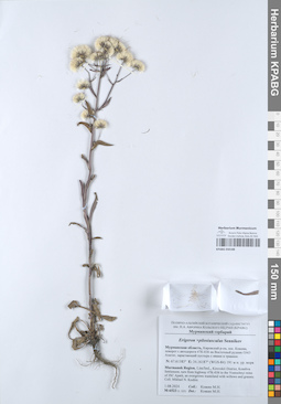 KPABG050188