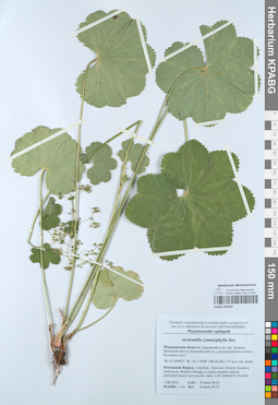KPABG050189