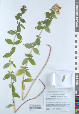 KPABG050194