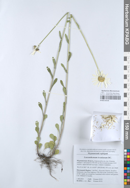KPABG050198