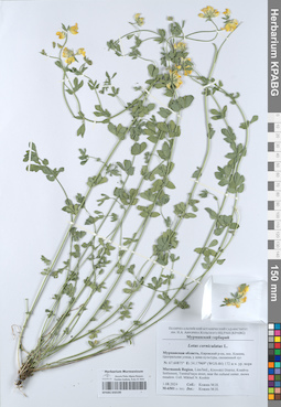 KPABG050199