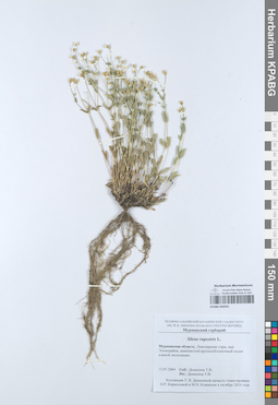 KPABG050241