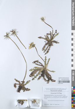 KPABG050243