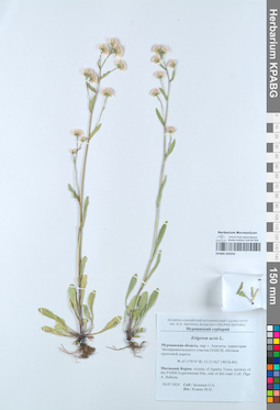 KPABG050244