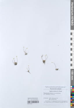 KPABG050252