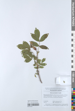 KPABG050256