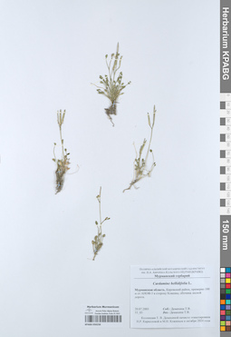 KPABG050258