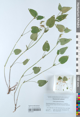 KPABG050264