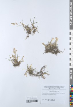 KPABG050272