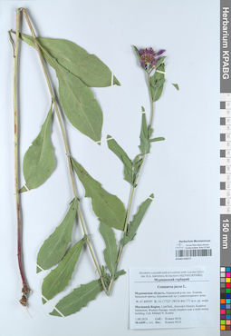 KPABG050277