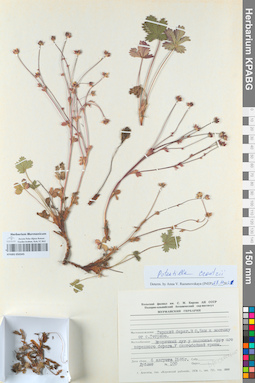 KPABG050345