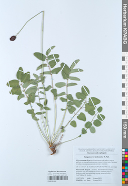 KPABG051060