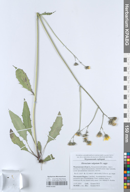 KPABG051063