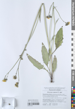 KPABG051064