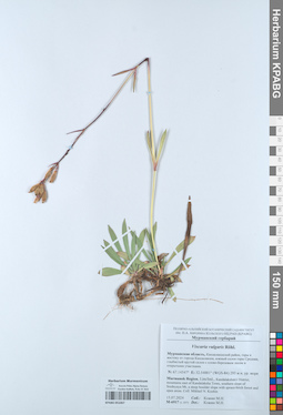 KPABG051067
