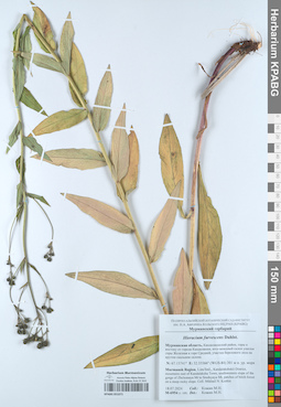 KPABG051071