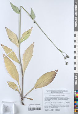 KPABG051073