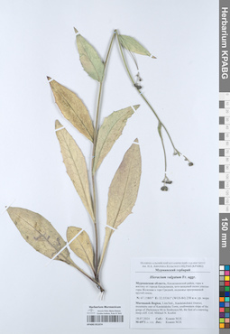 KPABG051074