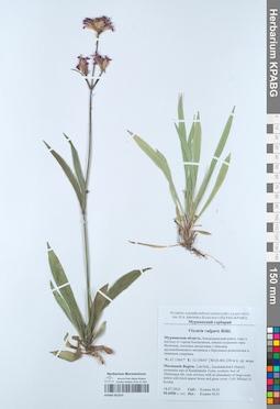 KPABG051075