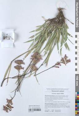 KPABG051076