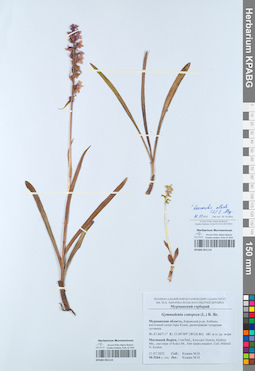 KPABG051115