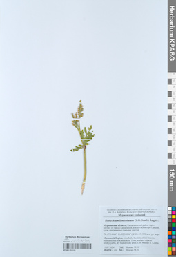 KPABG051118