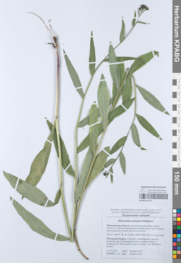 KPABG051119
