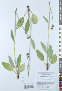 KPABG051127