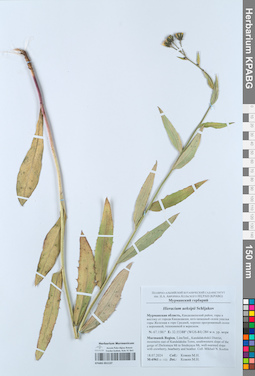 KPABG051137