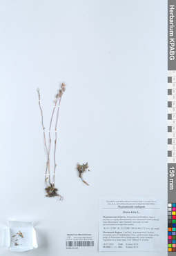 KPABG051140
